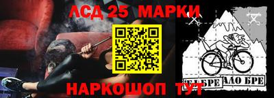 крисы Шелехов