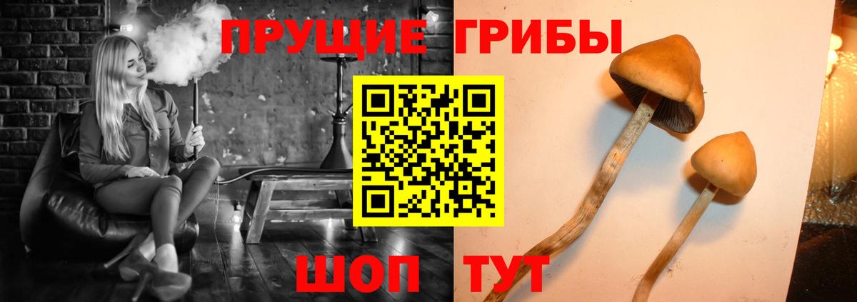 Псилоцибиновые грибы GOLDEN TEACHER Нерюнгри
